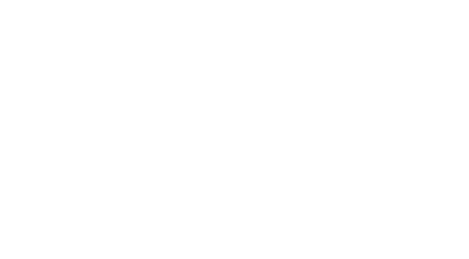 Daisy PMU INC